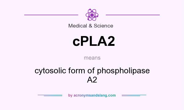 What does cPLA2 mean? It stands for cytosolic form of phospholipase A2