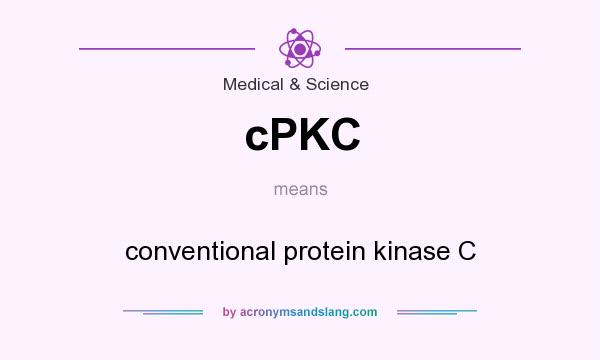 What does cPKC mean? It stands for conventional protein kinase C