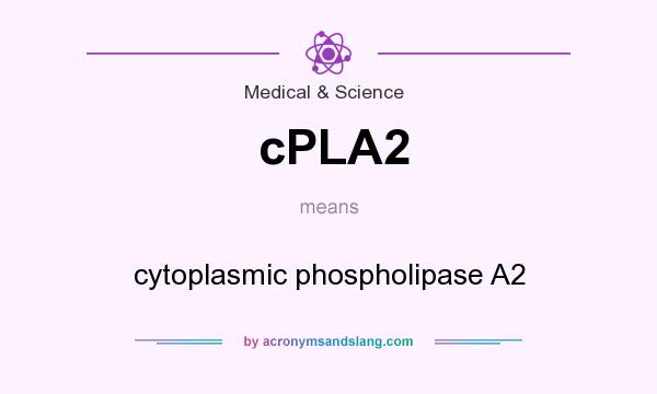 What does cPLA2 mean? It stands for cytoplasmic phospholipase A2