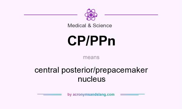What does CP/PPn mean? It stands for central posterior/prepacemaker nucleus