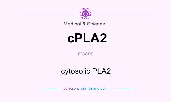 What does cPLA2 mean? It stands for cytosolic PLA2