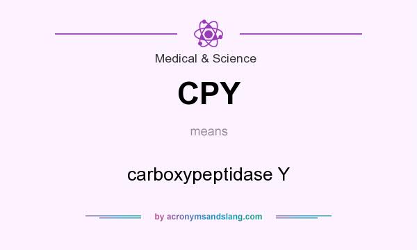 What does CPY mean? It stands for carboxypeptidase Y