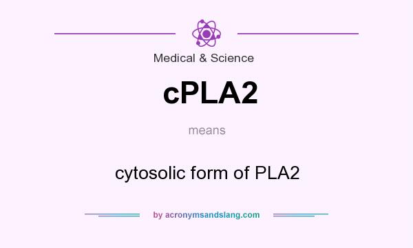 What does cPLA2 mean? It stands for cytosolic form of PLA2