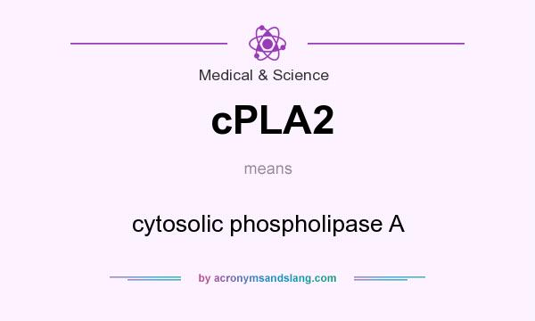 What does cPLA2 mean? It stands for cytosolic phospholipase A
