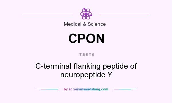 What does CPON mean? It stands for C-terminal flanking peptide of neuropeptide Y