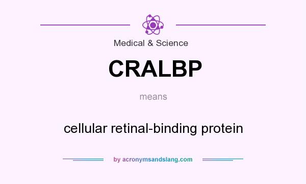 What does CRALBP mean? It stands for cellular retinal-binding protein