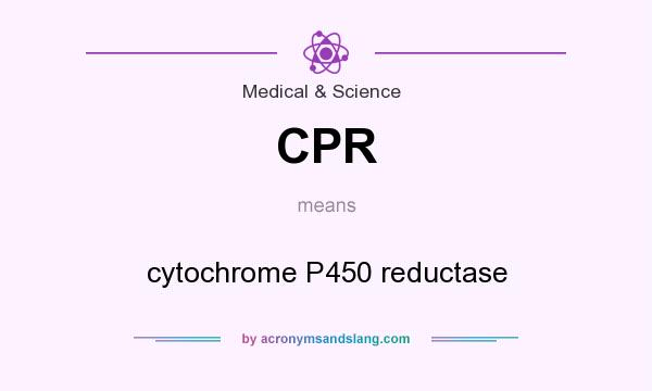 What does CPR mean? It stands for cytochrome P450 reductase