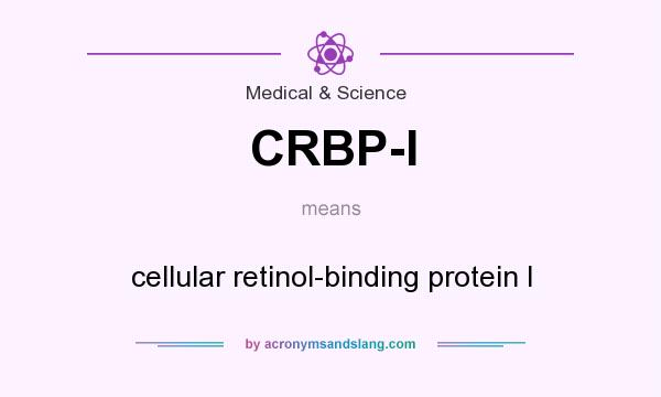 What does CRBP-I mean? It stands for cellular retinol-binding protein I