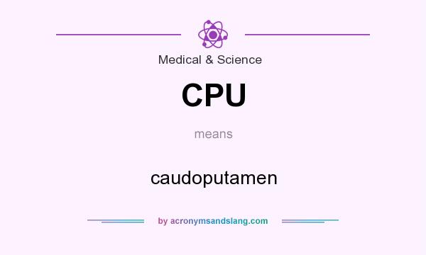 What does CPU mean? It stands for caudoputamen