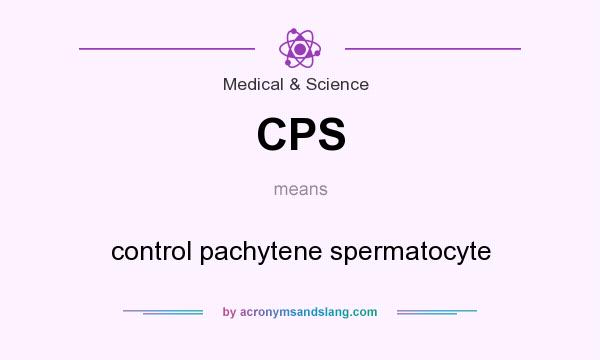What does CPS mean? It stands for control pachytene spermatocyte