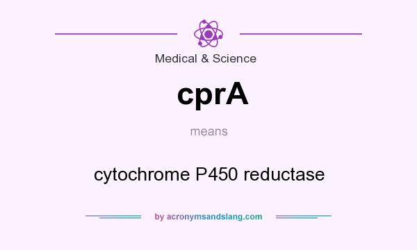 What does cprA mean? It stands for cytochrome P450 reductase