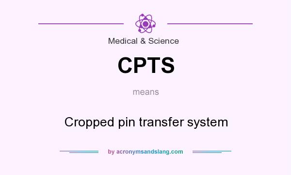 What does CPTS mean? It stands for Cropped pin transfer system