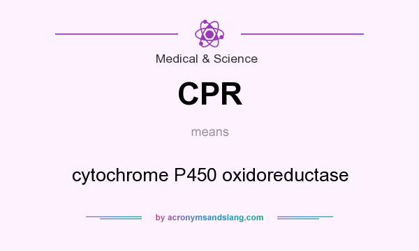 What does CPR mean? It stands for cytochrome P450 oxidoreductase