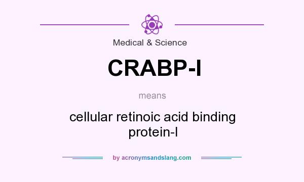 What does CRABP-I mean? It stands for cellular retinoic acid binding protein-I