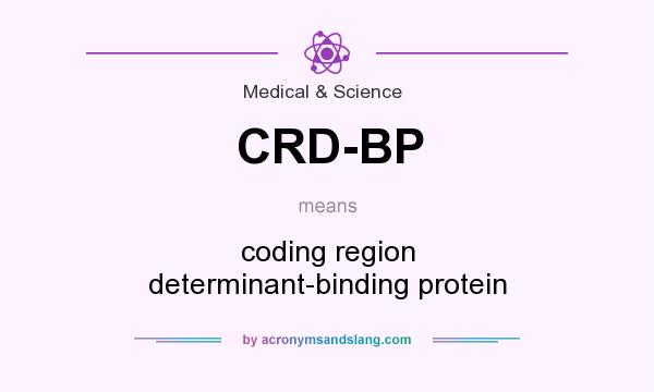 What does CRD-BP mean? It stands for coding region determinant-binding protein