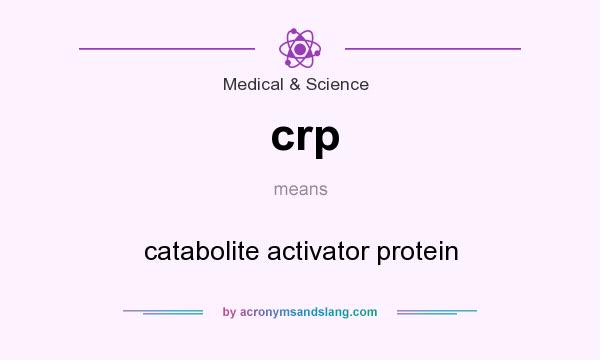 What does crp mean? It stands for catabolite activator protein