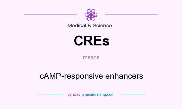 What does CREs mean? It stands for cAMP-responsive enhancers