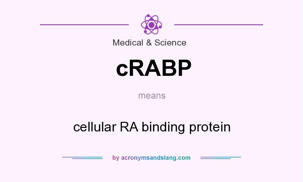 What does cRABP mean? It stands for cellular RA binding protein