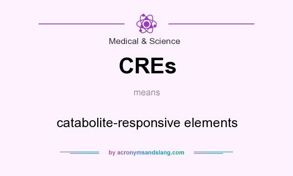 What does CREs mean? It stands for catabolite-responsive elements