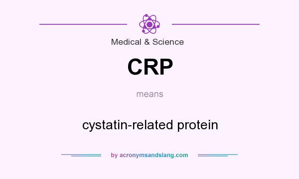 What does CRP mean? It stands for cystatin-related protein