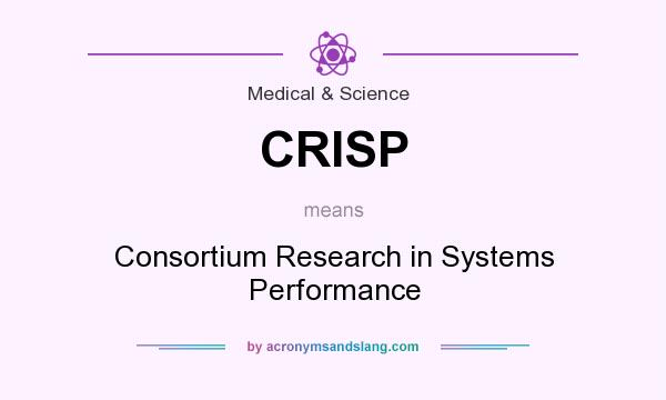 What does CRISP mean? It stands for Consortium Research in Systems Performance