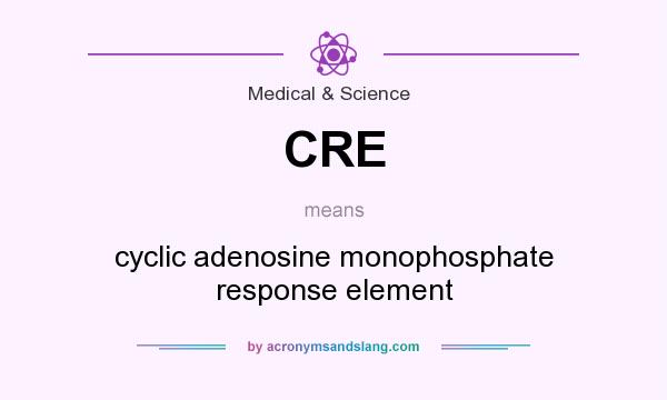 What does CRE mean? It stands for cyclic adenosine monophosphate response element