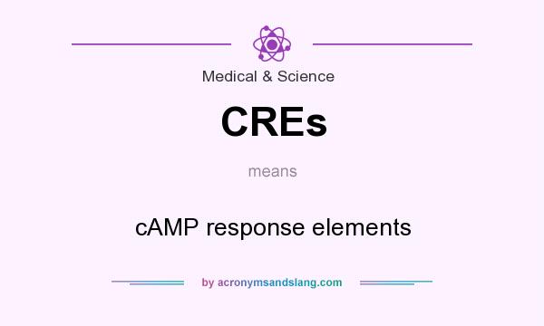 What does CREs mean? It stands for cAMP response elements