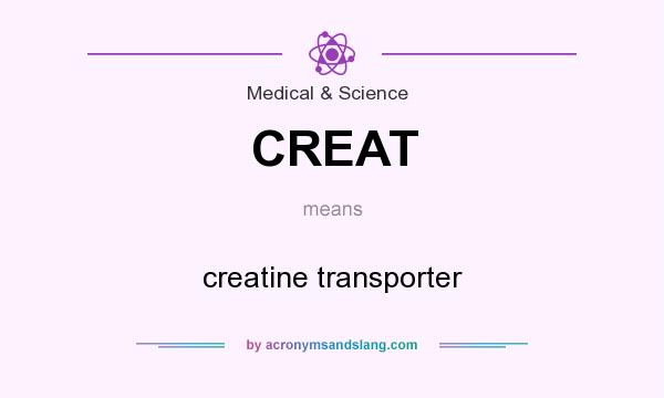 What does CREAT mean? It stands for creatine transporter