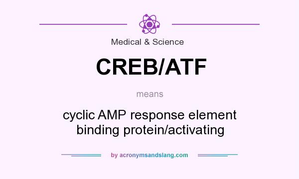What does CREB/ATF mean? It stands for cyclic AMP response element binding protein/activating