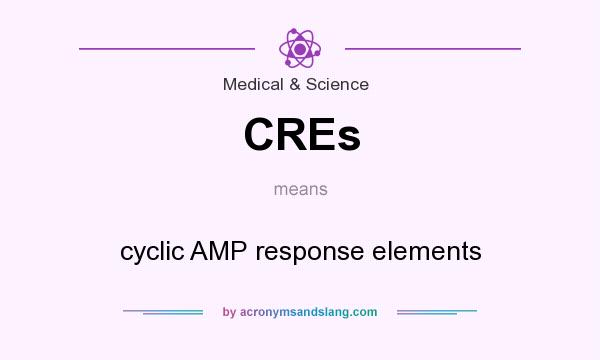 What does CREs mean? It stands for cyclic AMP response elements