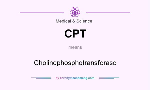 What does CPT mean? It stands for Cholinephosphotransferase