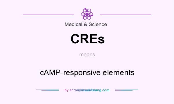 What does CREs mean? It stands for cAMP-responsive elements