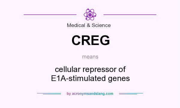 What does CREG mean? It stands for cellular repressor of E1A-stimulated genes