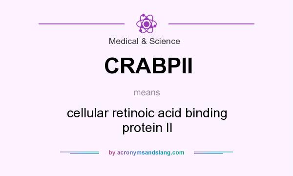 What does CRABPII mean? It stands for cellular retinoic acid binding protein II