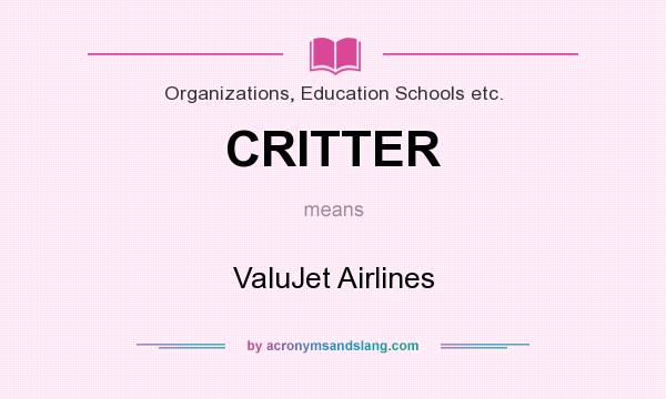 What does CRITTER mean? It stands for ValuJet Airlines