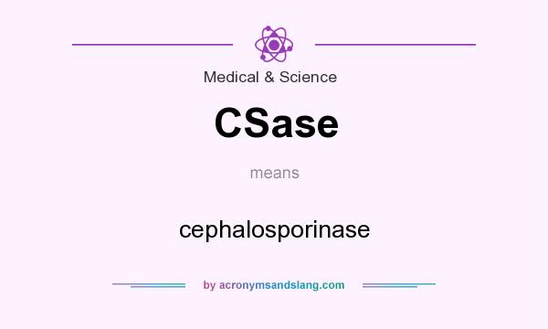 What does CSase mean? It stands for cephalosporinase