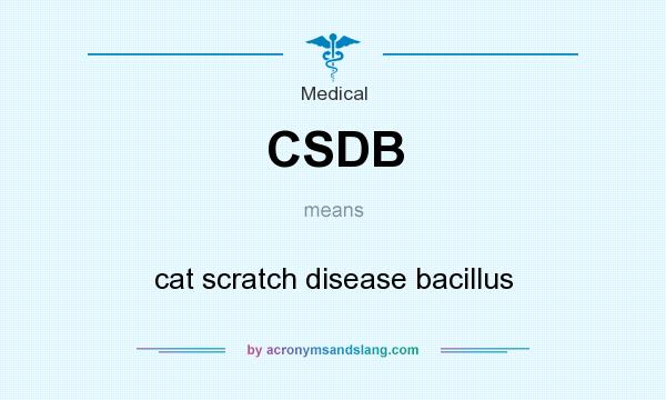 What does CSDB mean? It stands for cat scratch disease bacillus