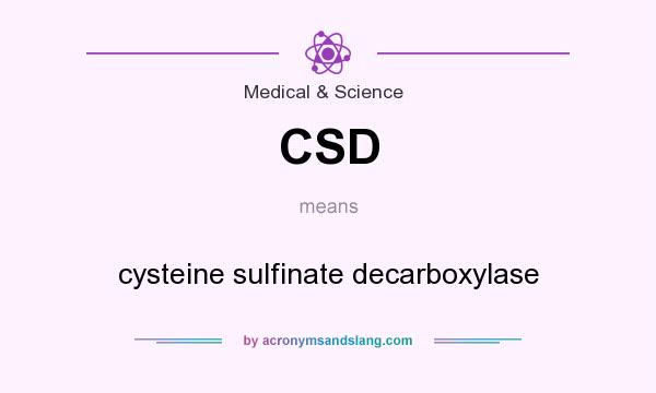 What does CSD mean? It stands for cysteine sulfinate decarboxylase