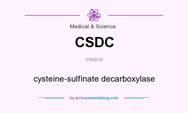 What does CSDC mean? It stands for cysteine-sulfinate decarboxylase