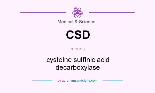 What does CSD mean? It stands for cysteine sulfinic acid decarboxylase