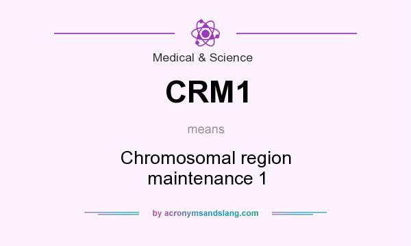 What does CRM1 mean? It stands for Chromosomal region maintenance 1
