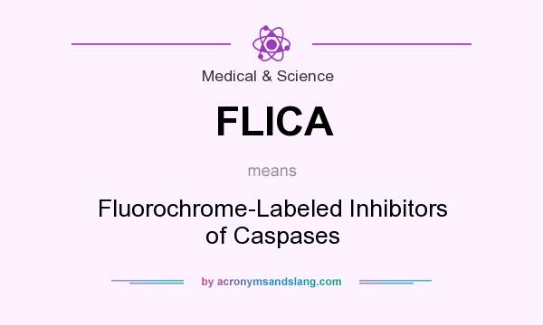 What does FLICA mean? It stands for Fluorochrome-Labeled Inhibitors of Caspases
