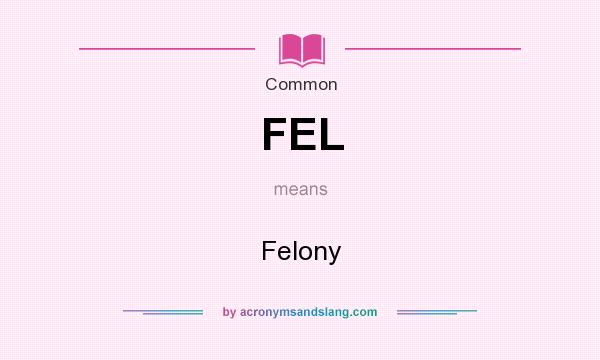 What does FEL mean? It stands for Felony