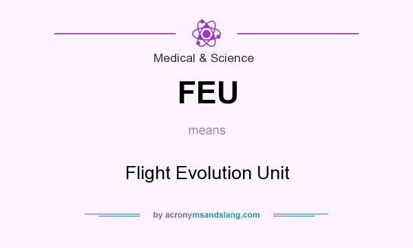 What does FEU mean? It stands for Flight Evolution Unit