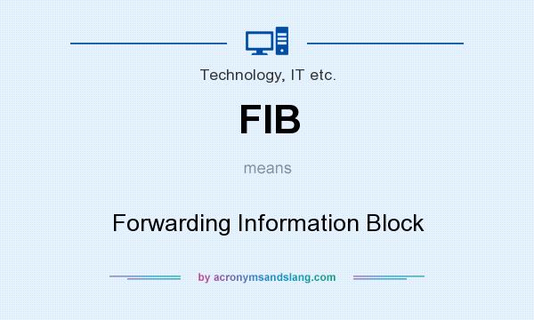What does FIB mean? It stands for Forwarding Information Block