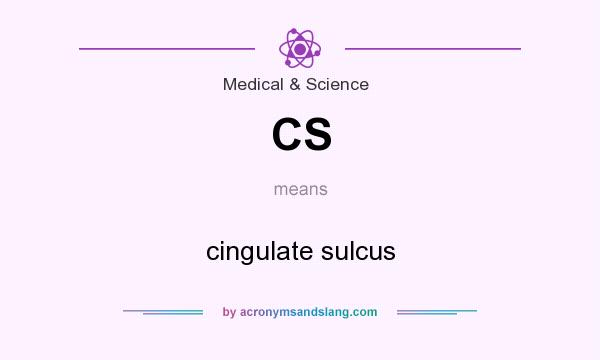 What does CS mean? It stands for cingulate sulcus