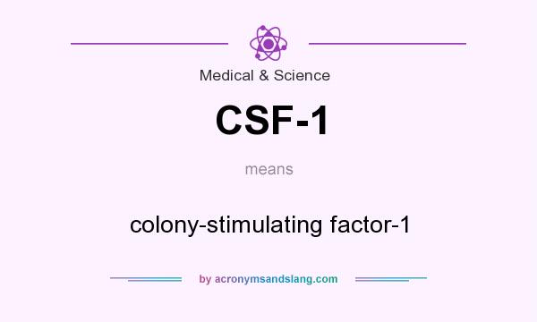 What does CSF-1 mean? It stands for colony-stimulating factor-1