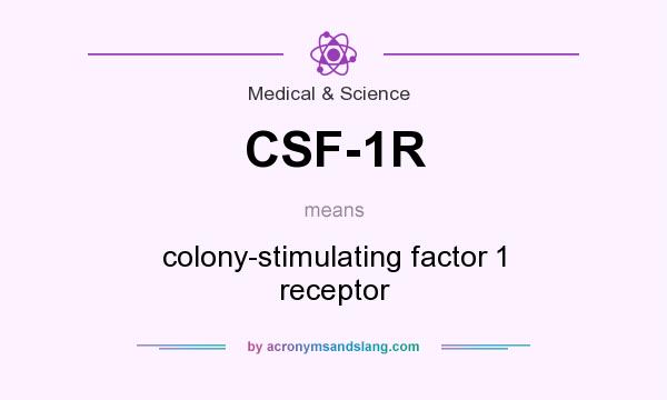 What does CSF-1R mean? It stands for colony-stimulating factor 1 receptor