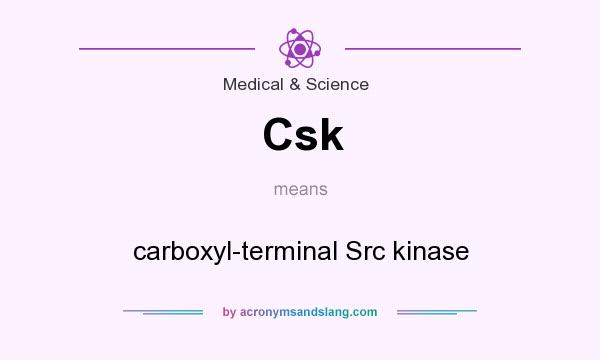 What does Csk mean? It stands for carboxyl-terminal Src kinase