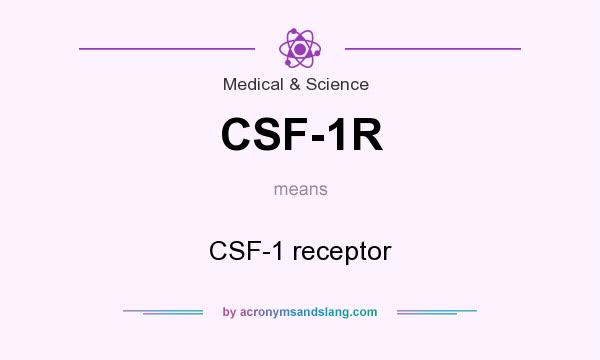 What does CSF-1R mean? It stands for CSF-1 receptor